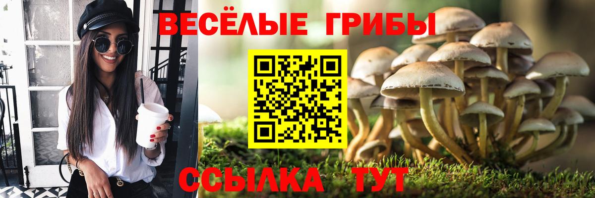 Елец  дарнет шоп  Вход с VPN  Галлюциногенные грибы Psilocybe  Псилоцибиновые грибы ЛСД 